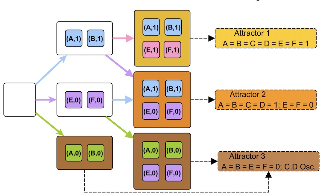 succession_diagram.jpg